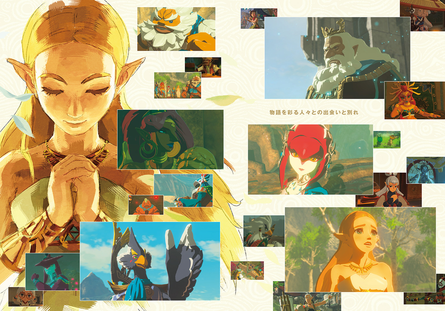 Zelda Breath of the Wild Explorer Edition